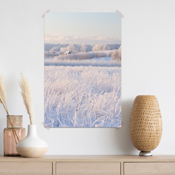 Plakat szronowa łąka o poranku