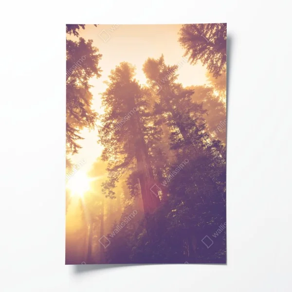 Plakat wzór z kaktusami i sukulentami – Wallissimo®