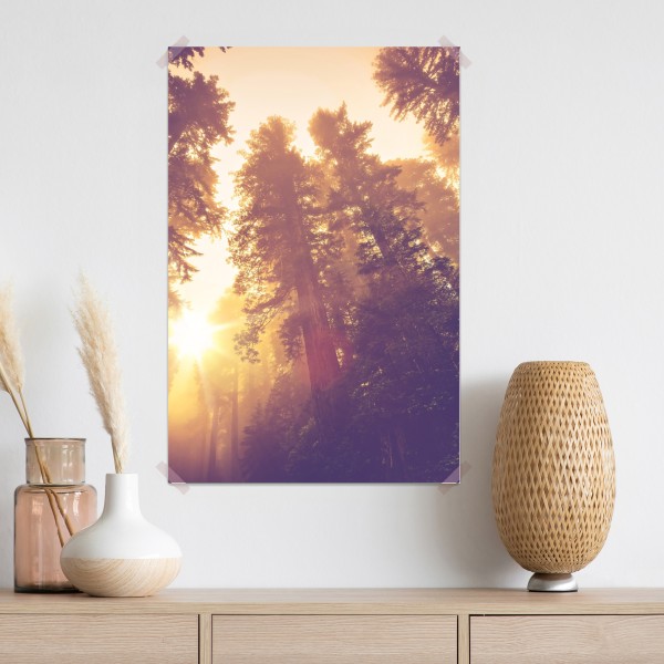 Plakat mglisty las sekwojowy w złotych vintage tonacjach – Wallissimo® Plakat mglisty las sekwojowy w złotych vintage tonacjach – Wallissimo®