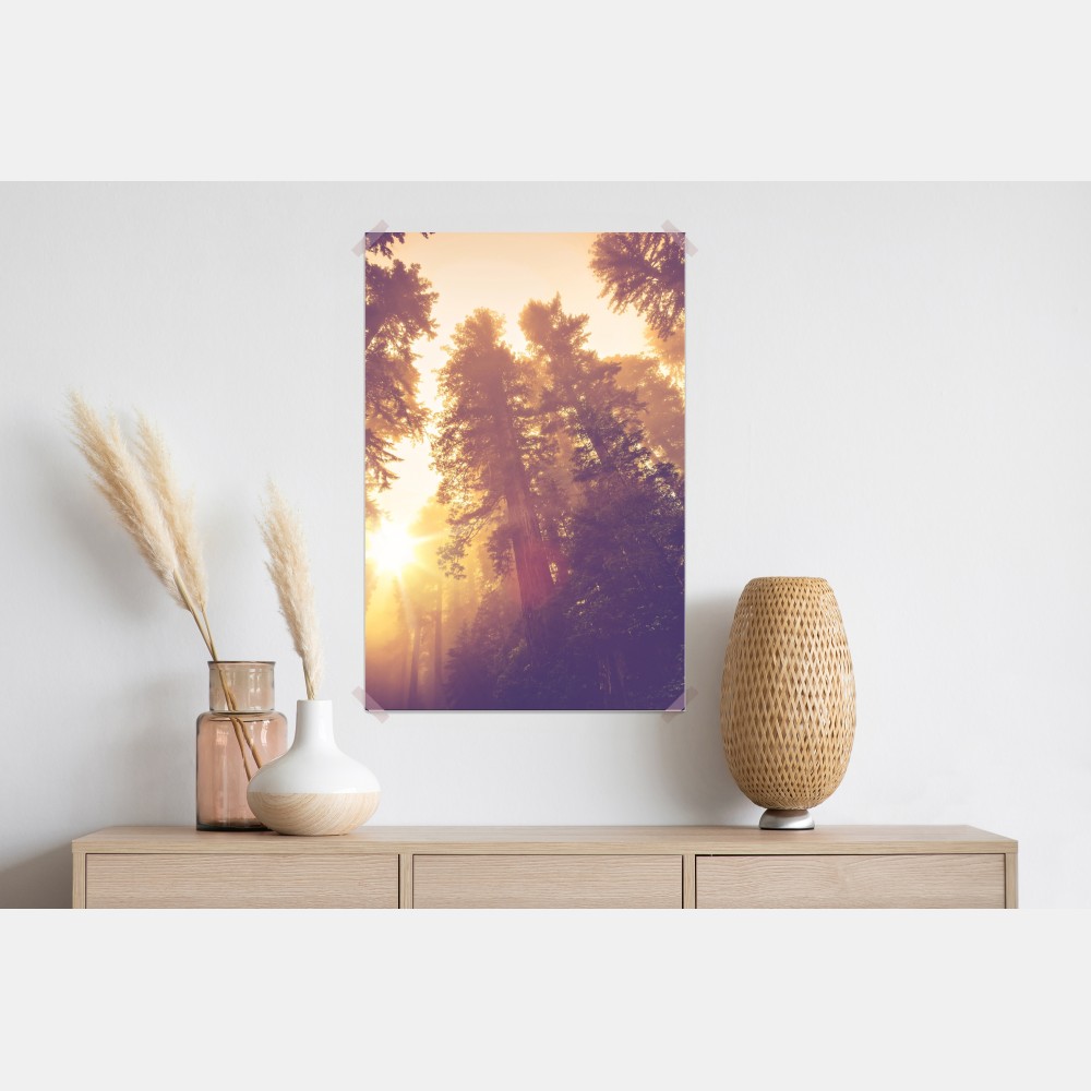 Plakat mglisty las sekwojowy w złotych vintage tonacjach – Wallissimo® Plakat mglisty las sekwojowy w złotych vintage tonacjach – Wallissimo®
