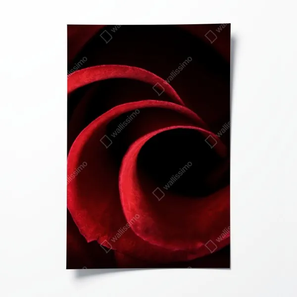 Plakat zimowe jezioro z odbiciem w śnieżnym lesie – Wallissimo®