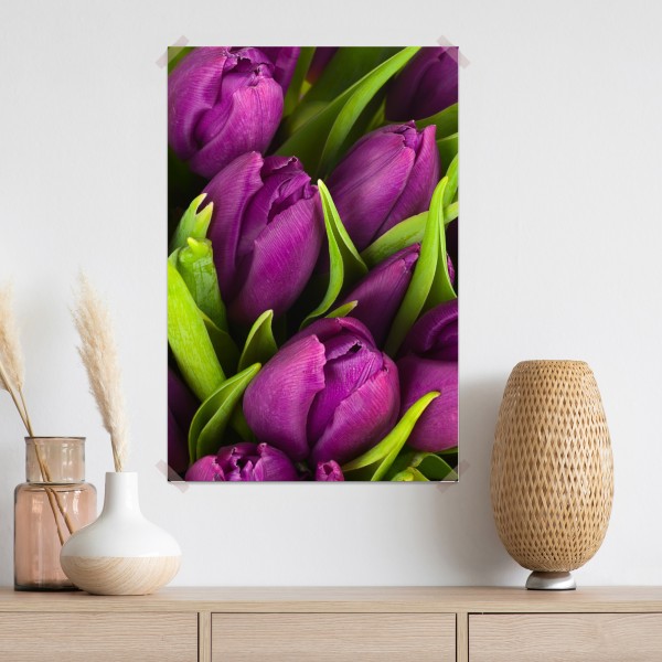 Plakat fioletowy bukiet tulipanów – Wallissimo® Plakat fioletowy bukiet tulipanów – Wallissimo®