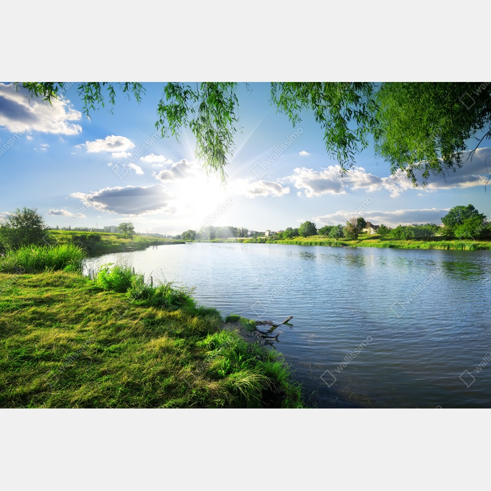 Plakat nasłoneczniony brzeg rzeki z bujną zielenią – Wallissimo® Plakat nasłoneczniony brzeg rzeki z bujną zielenią – Wallissimo®