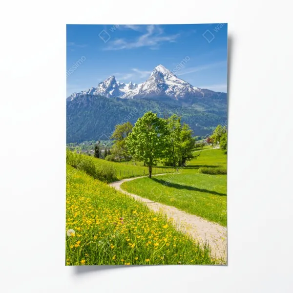 Plakat mglista tropikalna dżungla – Wallissimo®