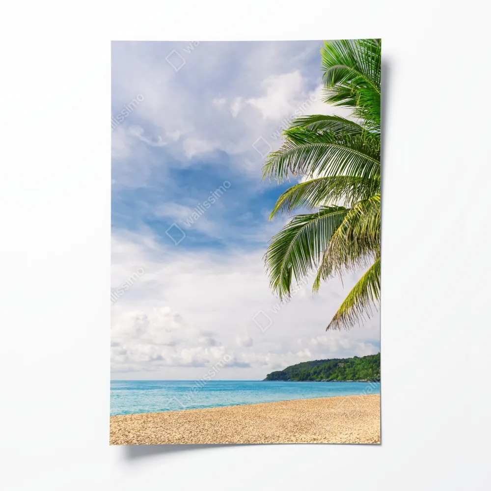 Plakat tropikalna plaża w Phuket z palmą – Wallissimo® Plakat tropikalna plaża w Phuket z palmą – Wallissimo®