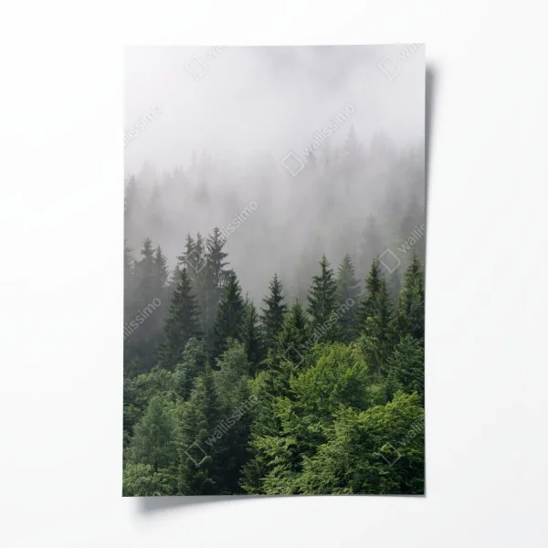 Plakat pastelowy wzór liści na ścianę – Wallissimo®