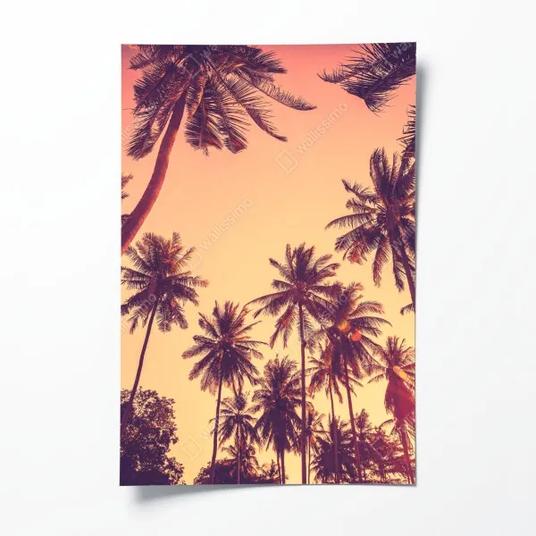 Plakat zachód słońca nad jeziorem z sitowiem w sylwecie – Wallissimo®