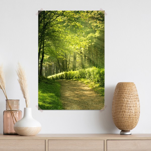 Plakat słoneczna leśna ścieżka w zieleni – Wallissimo® Plakat słoneczna leśna ścieżka w zieleni – Wallissimo®