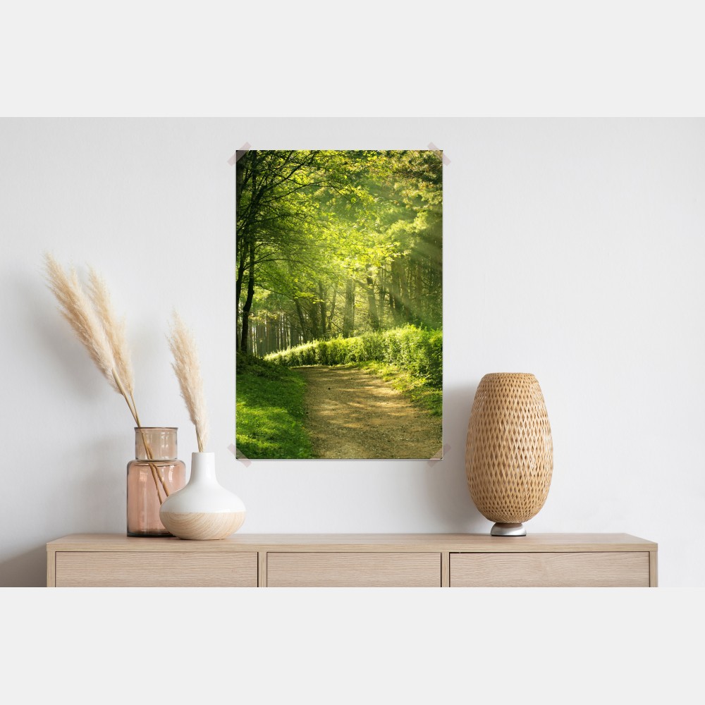 Plakat słoneczna leśna ścieżka w zieleni – Wallissimo® Plakat słoneczna leśna ścieżka w zieleni – Wallissimo®