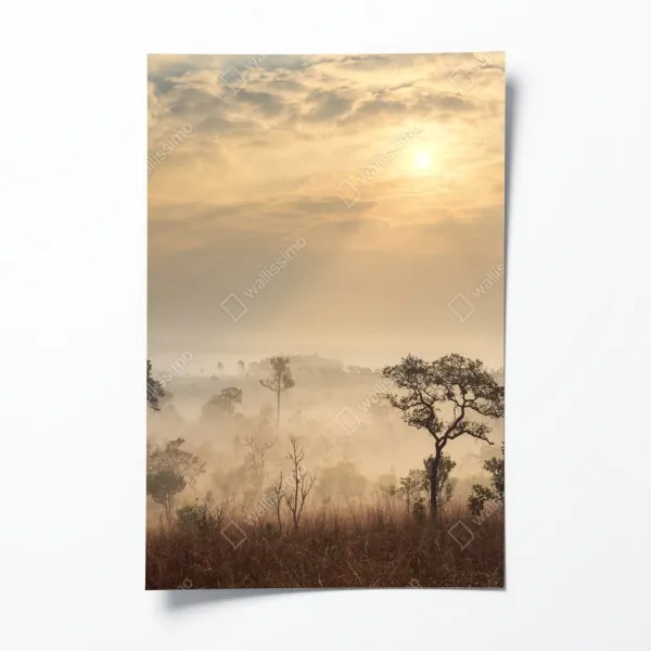 Plakat eleganckie kalie w monochromie – Wallissimo®