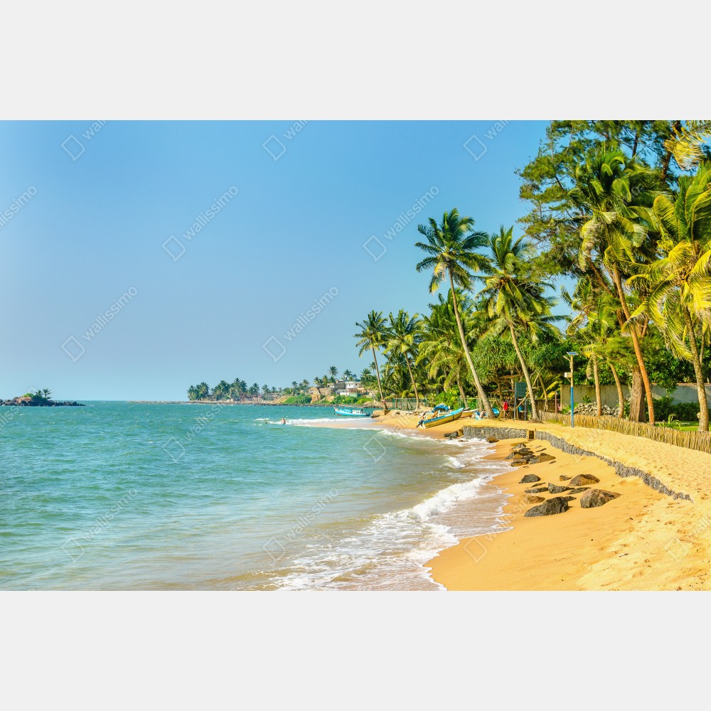 Plakat tropikalna plaża z palmami – Wallissimo® Plakat tropikalna plaża z palmami – Wallissimo®