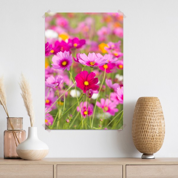 Plakat różowa łąka kosmosów w rozkwicie – Wallissimo® Plakat różowa łąka kosmosów w rozkwicie – Wallissimo®