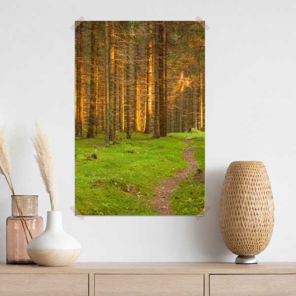 Plakat złote światło lesie sosnowym porośniętym mchem – Wallissimo® Plakat złote światło lesie sosnowym porośniętym mchem – Wallissimo®