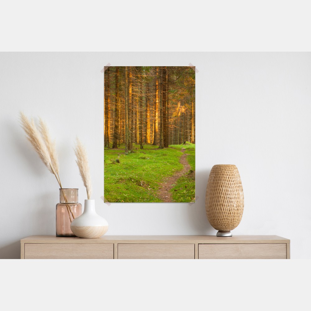 Plakat złote światło lesie sosnowym porośniętym mchem – Wallissimo® Plakat złote światło lesie sosnowym porośniętym mchem – Wallissimo®