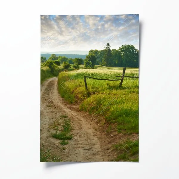 Plakat słoneczna wiejska ścieżka przez zielone łąki