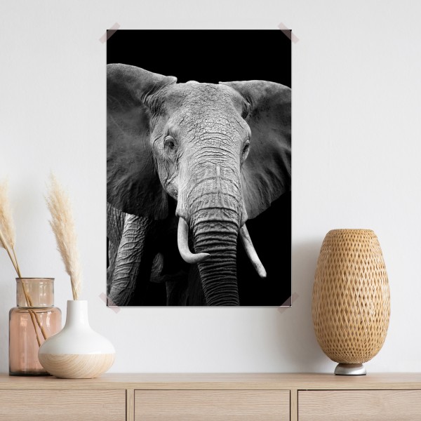 Plakat majestatyczny portret słonia czarno-biały – Wallissimo® Plakat majestatyczny portret słonia czarno-biały – Wallissimo®