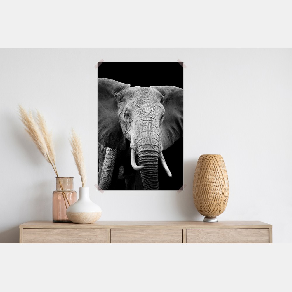 Plakat majestatyczny portret słonia czarno-biały – Wallissimo® Plakat majestatyczny portret słonia czarno-biały – Wallissimo®