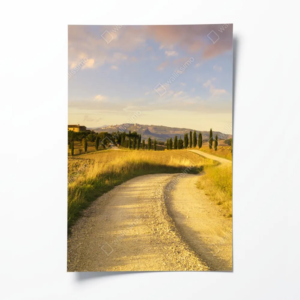 Plakat złota wiejska droga wśród cyprysów – Wallissimo® Plakat złota wiejska droga wśród cyprysów – Wallissimo®