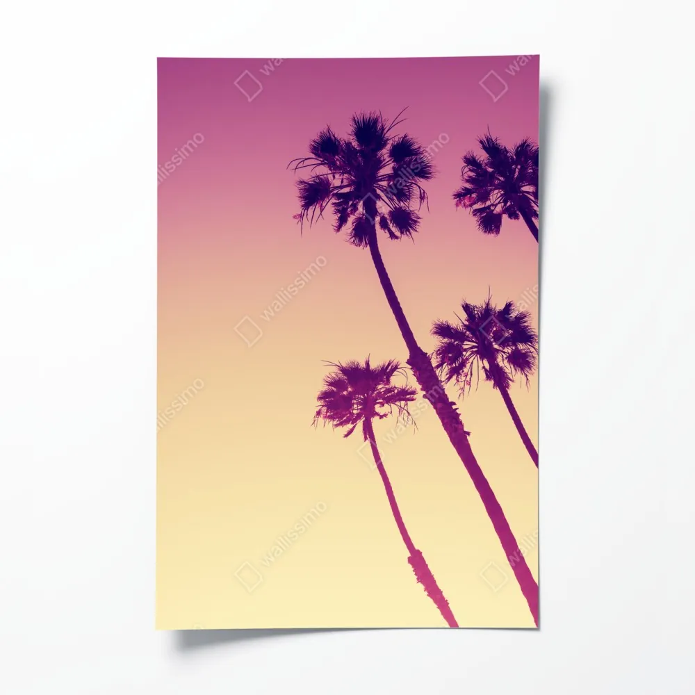 Plakat palmy z Kalifornii na Sunset Cliffs – Wallissimo® Plakat palmy z Kalifornii na Sunset Cliffs – Wallissimo®