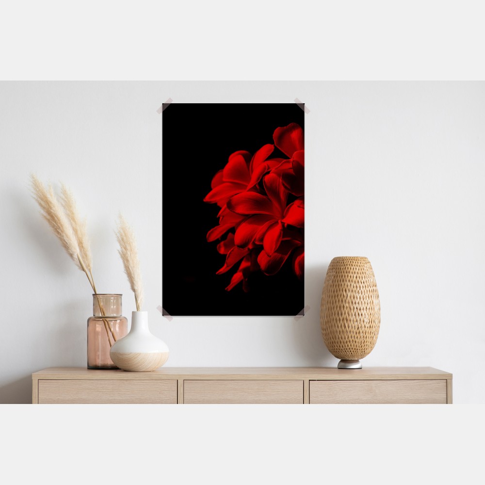 Plakat czerwona plumeria na czarnym tle – Wallissimo® Plakat czerwona plumeria na czarnym tle – Wallissimo®