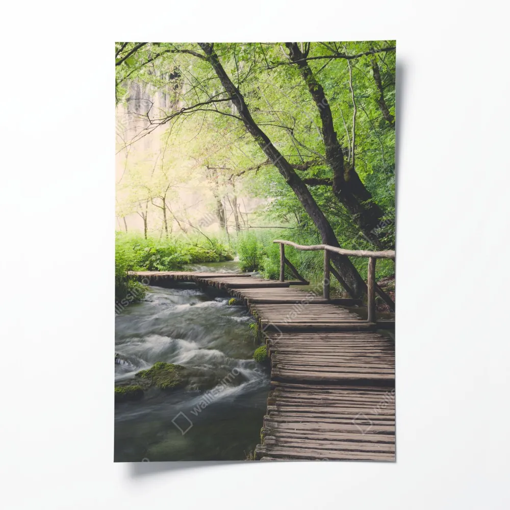 Plakat spokojna drewniana kładka w zielonym lesie – Wallissimo® Plakat spokojna drewniana kładka w zielonym lesie – Wallissimo®