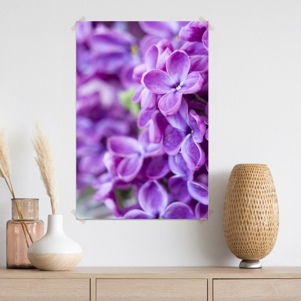 Plakat fioletowe kwiaty lilaka zbliżenie – Wallissimo® Plakat fioletowe kwiaty lilaka zbliżenie – Wallissimo®