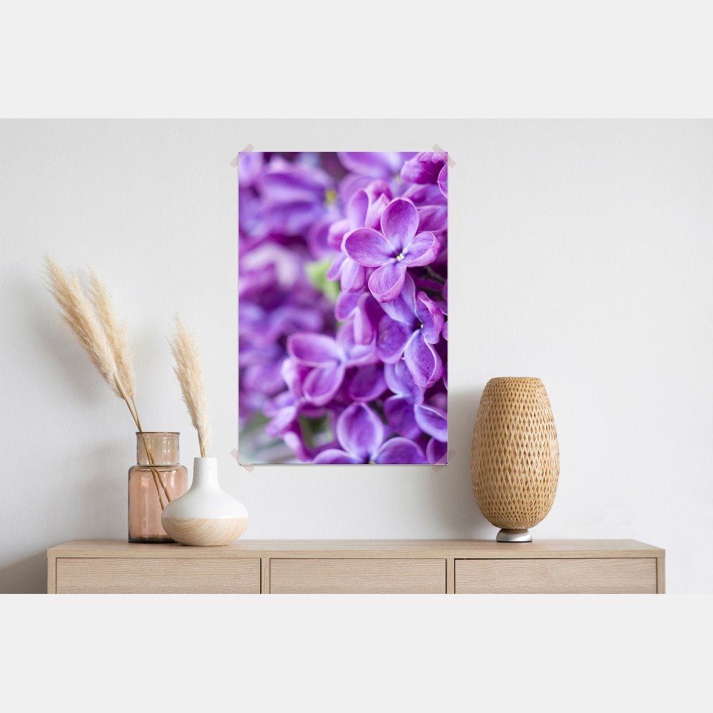Plakat fioletowe kwiaty lilaka zbliżenie – Wallissimo® Plakat fioletowe kwiaty lilaka zbliżenie – Wallissimo®