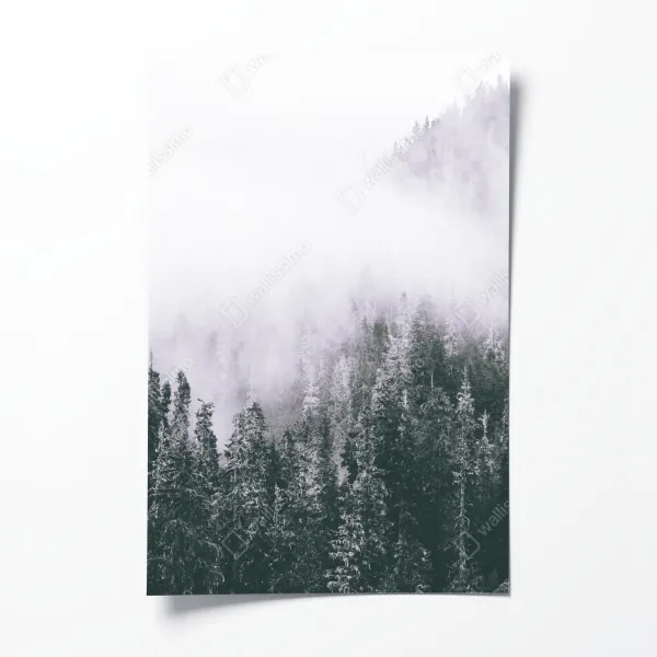 Plakat mglisty las iglasty