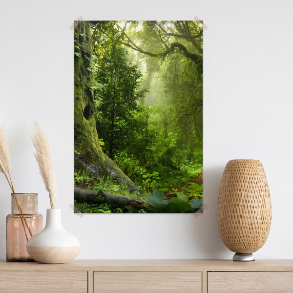 Plakat stara leśna ścieżka – Wallissimo® Plakat stara leśna ścieżka – Wallissimo®
