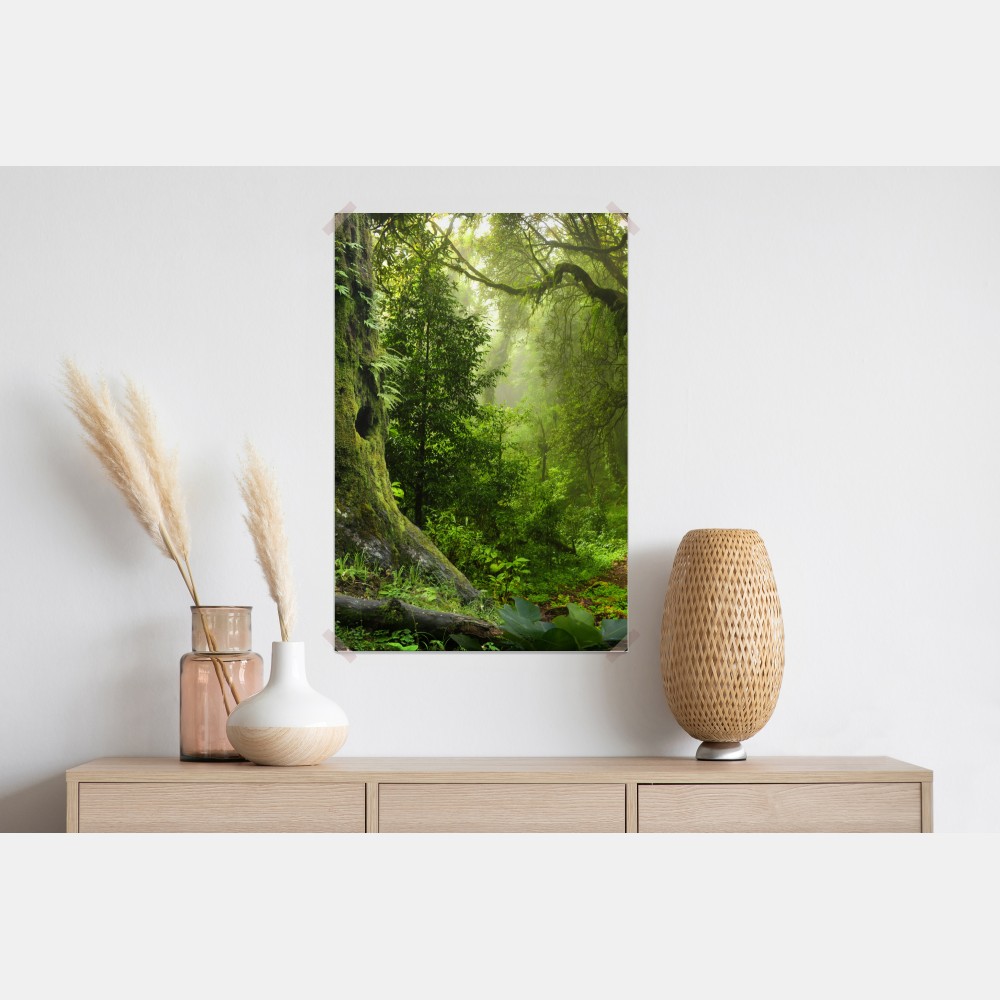 Plakat stara leśna ścieżka – Wallissimo® Plakat stara leśna ścieżka – Wallissimo®