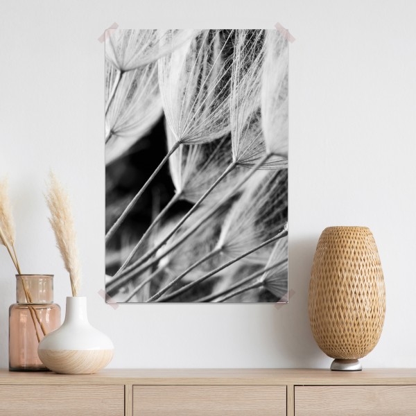 Plakat delikatne zbliżenie nasion dmuchawca czarno-białe – Wallissimo® Plakat delikatne zbliżenie nasion dmuchawca czarno-białe – Wallissimo®