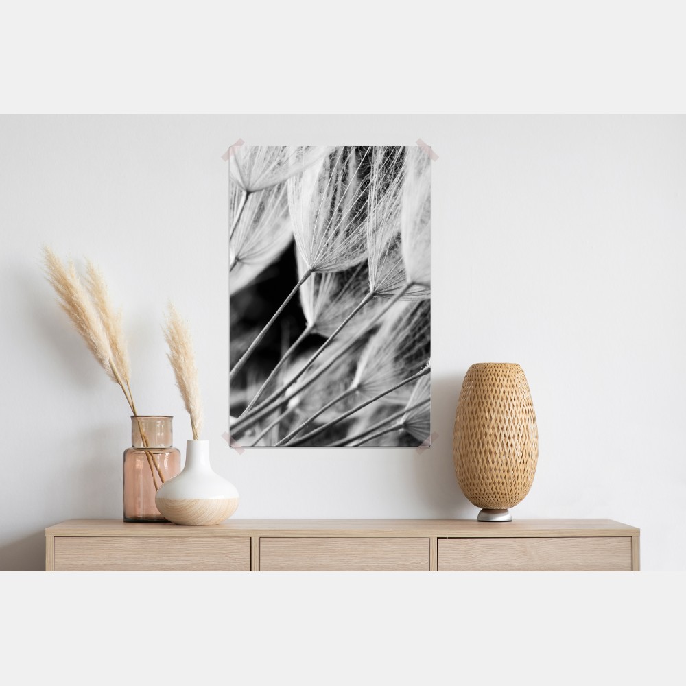 Plakat delikatne zbliżenie nasion dmuchawca czarno-białe – Wallissimo® Plakat delikatne zbliżenie nasion dmuchawca czarno-białe – Wallissimo®