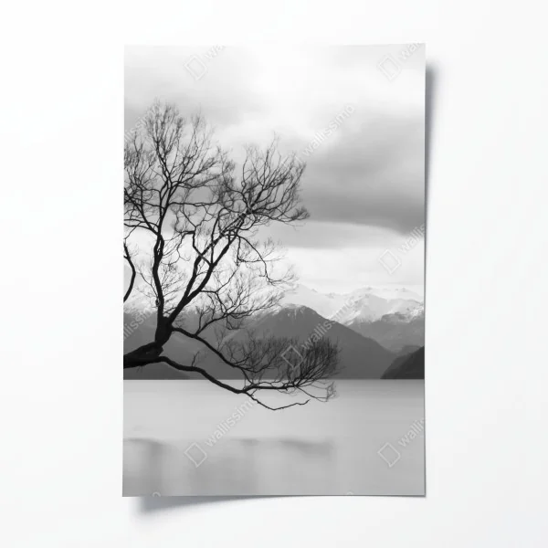 Plakat samotne drzewo na jeziorze