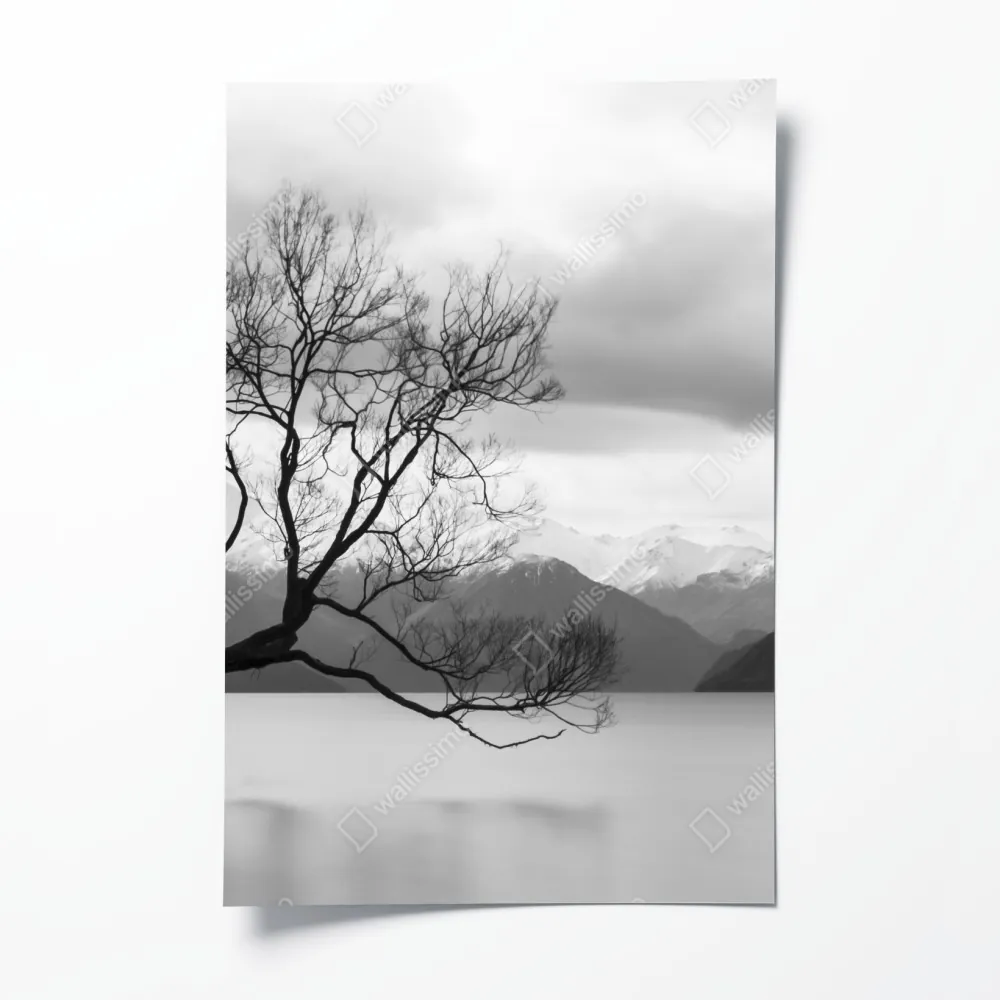 Plakat samotne drzewo na jeziorze – Wallissimo® Plakat samotne drzewo na jeziorze – Wallissimo®
