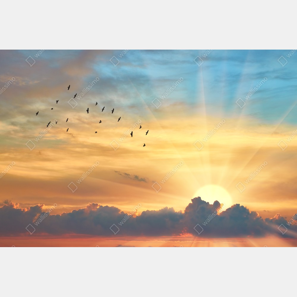 Plakat złoty wschód słońca nad chmurami – Wallissimo® Plakat złoty wschód słońca nad chmurami – Wallissimo®