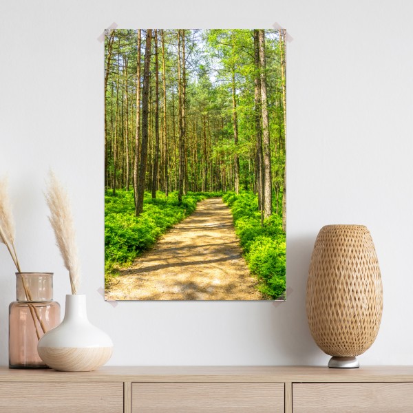 Plakat słoneczna leśna ścieżka wśród sosen – Wallissimo® Plakat słoneczna leśna ścieżka wśród sosen – Wallissimo®