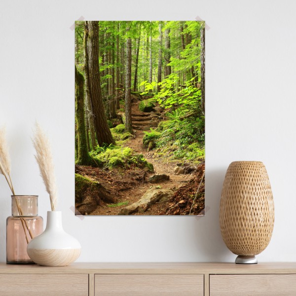 Plakat mchowa leśna ścieżka – Wallissimo® Plakat mchowa leśna ścieżka – Wallissimo®