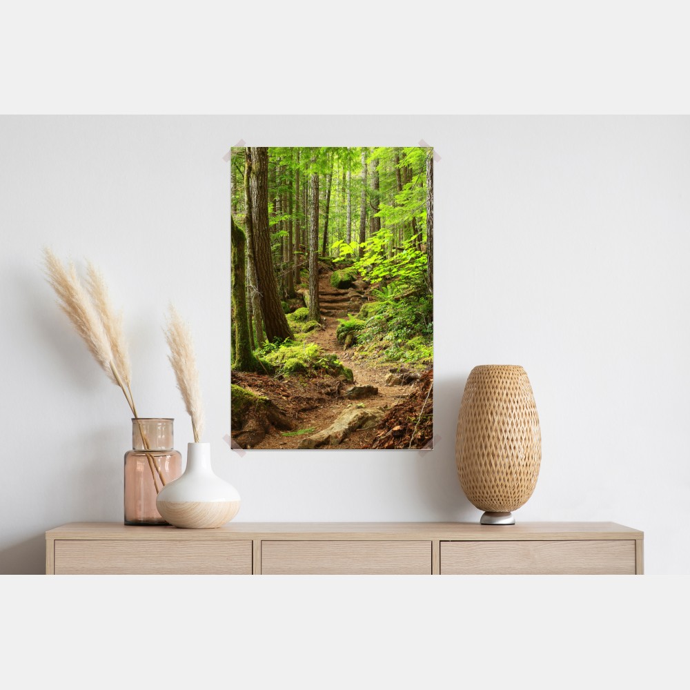 Plakat mchowa leśna ścieżka – Wallissimo® Plakat mchowa leśna ścieżka – Wallissimo®