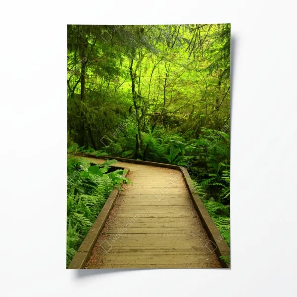 Plakat intensywne czerwone róże z bliska – Wallissimo®