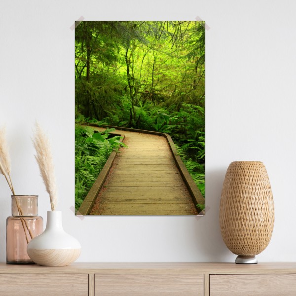 Plakat spokojna zielona kładka leśna – Wallissimo® Plakat spokojna zielona kładka leśna – Wallissimo®