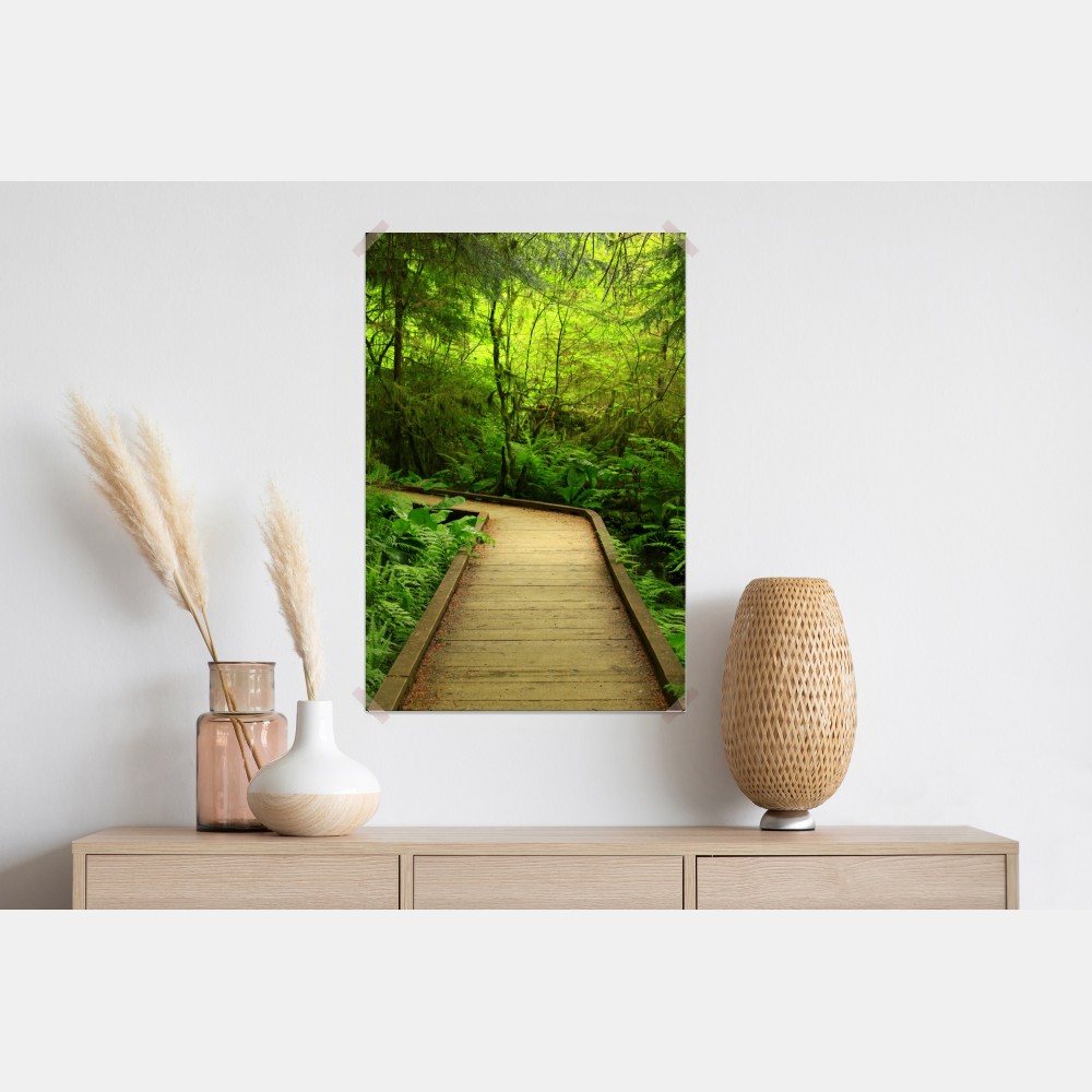 Plakat spokojna zielona kładka leśna – Wallissimo® Plakat spokojna zielona kładka leśna – Wallissimo®