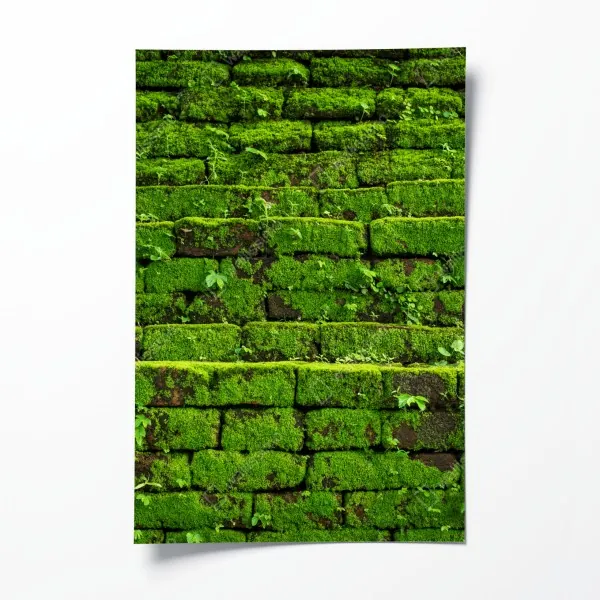 Plakat ściana z mchem na ceglanej strukturze