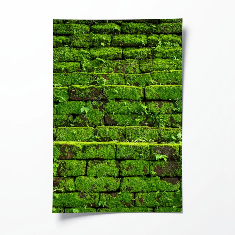 Plakat ściana z mchem na ceglanej strukturze – Wallissimo® Plakat ściana z mchem na ceglanej strukturze – Wallissimo®