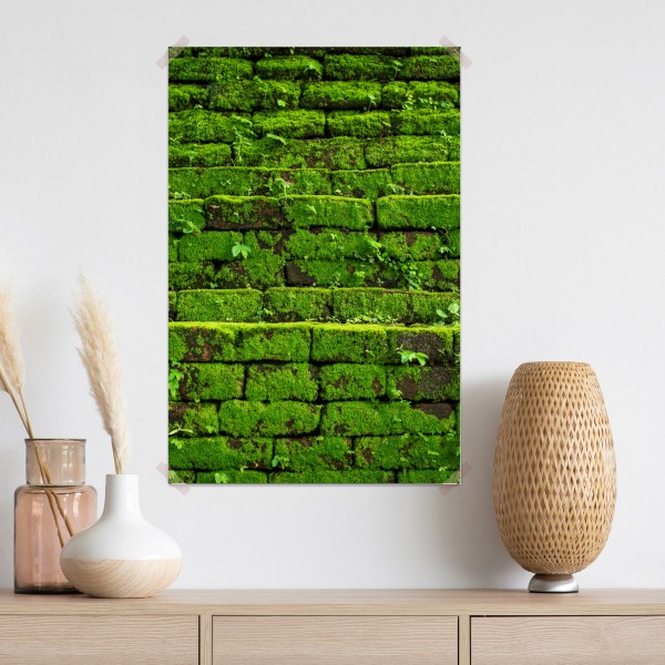 Plakat ściana z mchem na ceglanej strukturze – Wallissimo® Plakat ściana z mchem na ceglanej strukturze – Wallissimo®