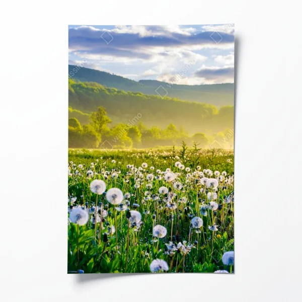 Plakat słoneczny widok na kalderę Santorini – Wallissimo®