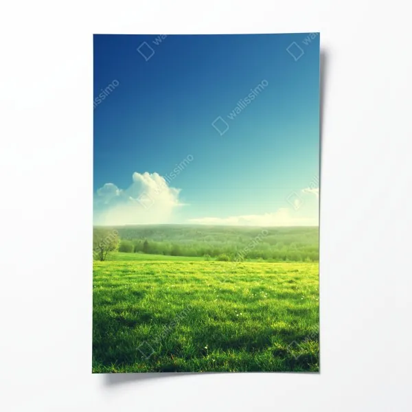 Plakat iryzujący różowy wzór piór – Wallissimo®