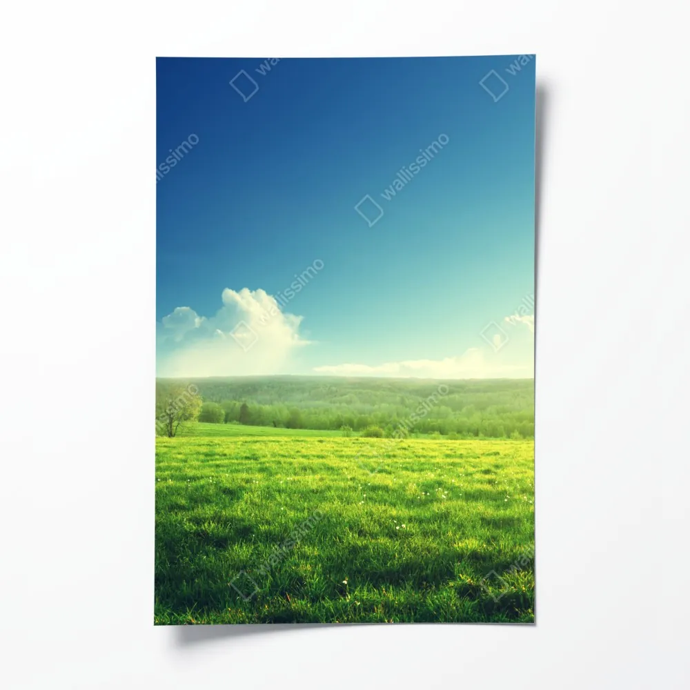 Plakat słoneczna wiosenna łąka o zachodzie słońca – Wallissimo® Plakat słoneczna wiosenna łąka o zachodzie słońca – Wallissimo®