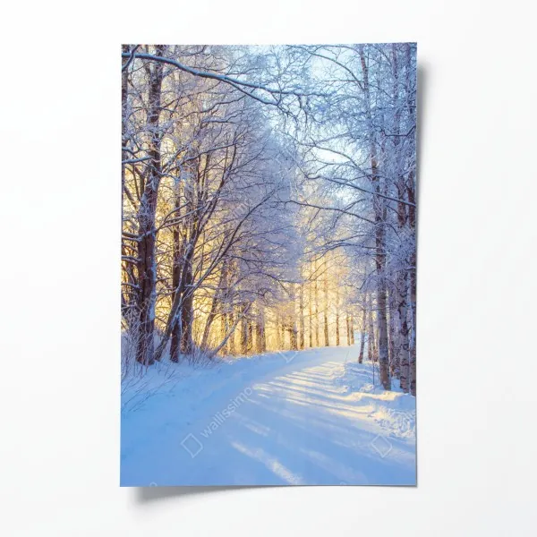 Plakat spokojny poranek nad jeziorem Braies, Dolomity – Wallissimo®