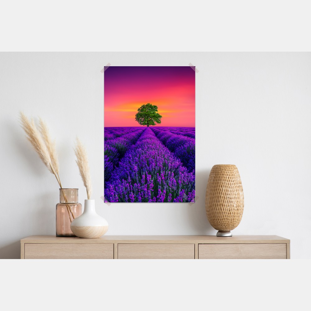 Plakat pole lawendy o zachodzie słońca z samotnym drzewem – Wallissimo® Plakat pole lawendy o zachodzie słońca z samotnym drzewem – Wallissimo®