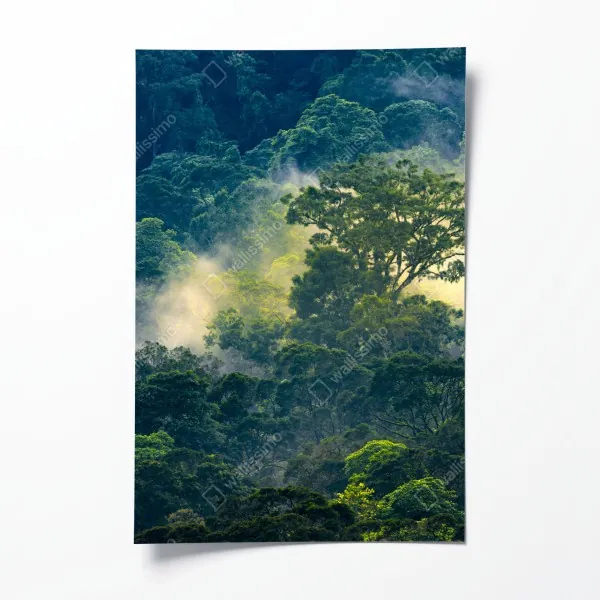 Plakat pastelowy wzór liści na ścianę – Wallissimo®